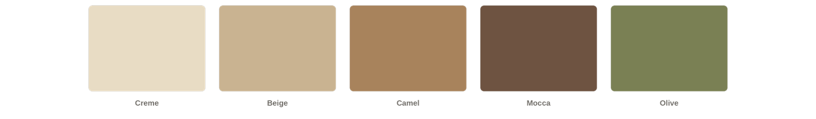 Farbpalette mit fünf Erdtönen: Creme, Beige, Camel, Mocca, Olive